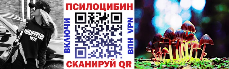 Псилоцибиновые грибы MAGIC MUSHROOMS  хочу наркоту  ОМГ ОМГ ССЫЛКА  Старица 